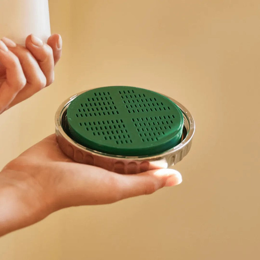 Wall Mount: Shower Filter