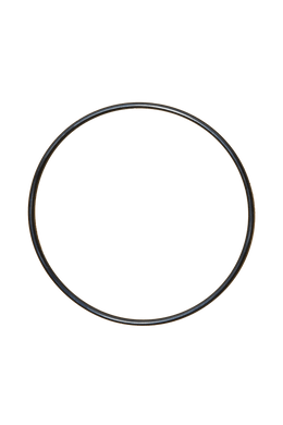 Vitaclean Wall Mount: O Rubber Ring Spare Part